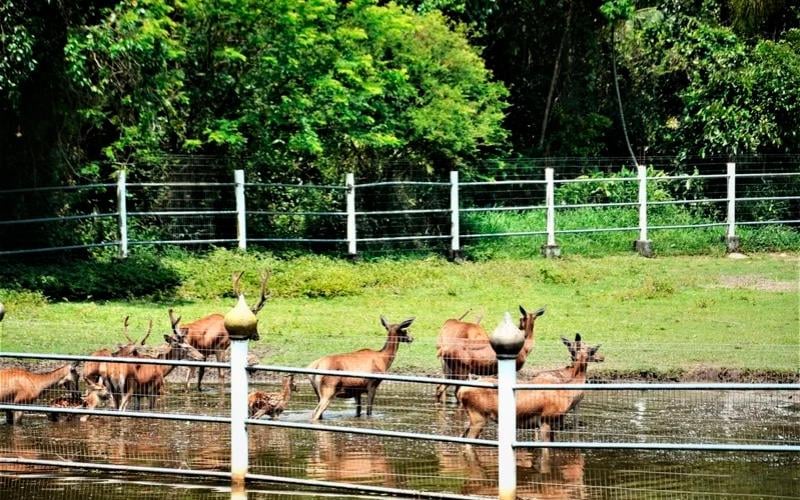 Zoo Pomerode (Ingresso Oficial)
